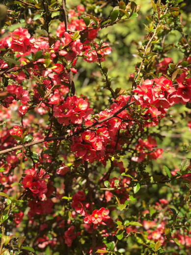 Jaro; foto: Anna Marie Málková